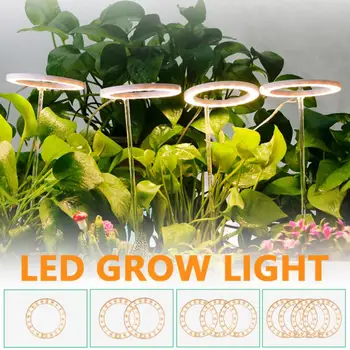 LED Ring Anjo de Luz Cresce USB DC5V Phytolamp Para as Plantas Led Full Spectrum Lâmpada Para o Interior de Mudas de Plantas em Casa de Flores Succulet